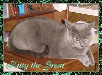 I am kitty the great from Southern Maryland.  I'm leader of this great group and I love to write about anything!